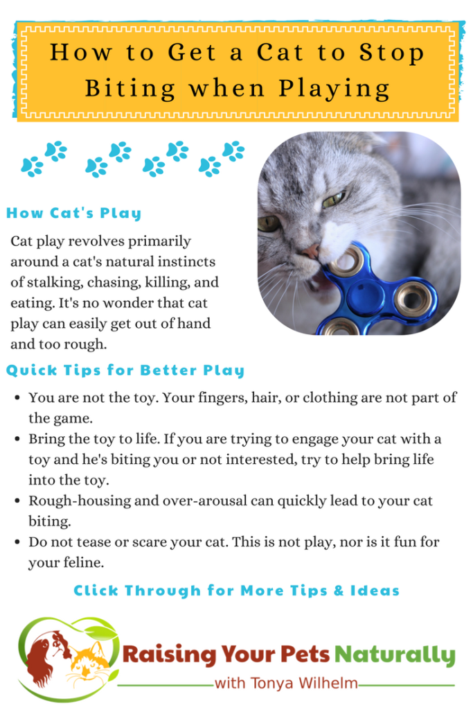 Why Does My Cat Bite Me During Play? | How to Get a Cat to Stop Biting when Playing. #raisingyourpetsnaturally #catplay #catbehavior #cattraining #natualcats #healthycats 