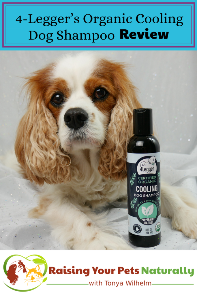 Natural Dog Shampoo Review: USDA Certified Organic Dog Shampoo with Peppermint and Tea Tree Oil by 4-Legger. #raisingyourpetsnaturally #dogshampoo #bestdogshampoo #naturaldogshampoo #organicdogshampoo