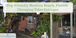 Dog-friendly Florida cottages and inns