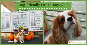 Dog-friendly Put-in-Bay Ohio