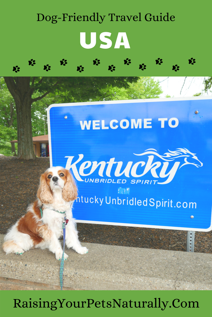 Dog-Friendly Travel Guide for a Dog Road Trip. Dog-friendly travel guides are a great way to plan your next pet-friendly vacation. #raisingyourpetsnaturally #travelguide #travelguides ##petfriendly #dogfriendly #petfriendlyvacations #dogfriendlyvacations