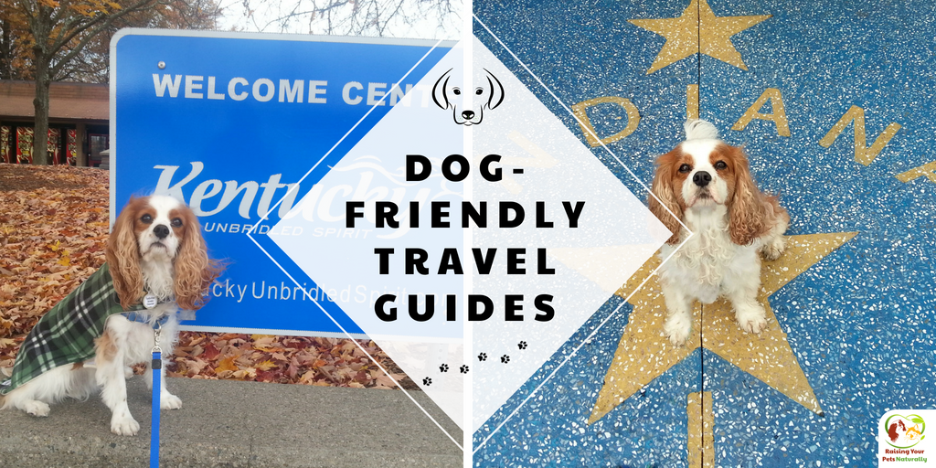 I'm putting together a #DogFriendlyTravelGuide for each state. Contact me to be included if you have a #DogFriendly business. #TravelGuide #Tourism #TravelBloggers