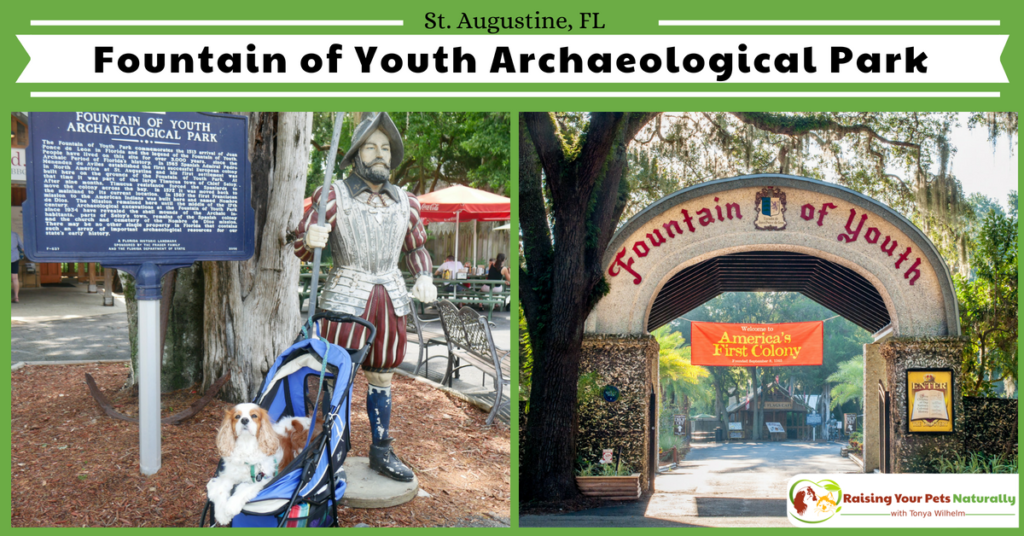 Dog-Friendly Fountain of Youth in St. Augustine Florida. Dog-friendly vacations are the best when your dog can participate in tourist attractions. During my stay in St. Augustine, Dexter and I visitied the Fountain of Youth. #raisingyourpetsnaturally #fountainofyouth #staugustine #visitstaugustine #dogfriendlystaugustine #dogfriendlyflorida