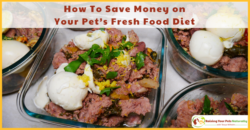 How To Save Money on Your Pet’s Fresh Food Diet