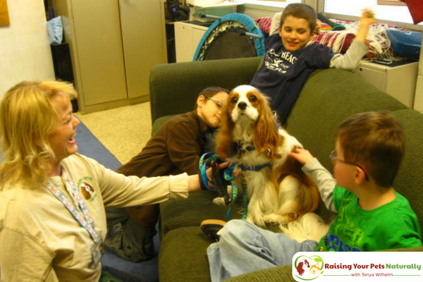 Training a dog to be a therapy support dog