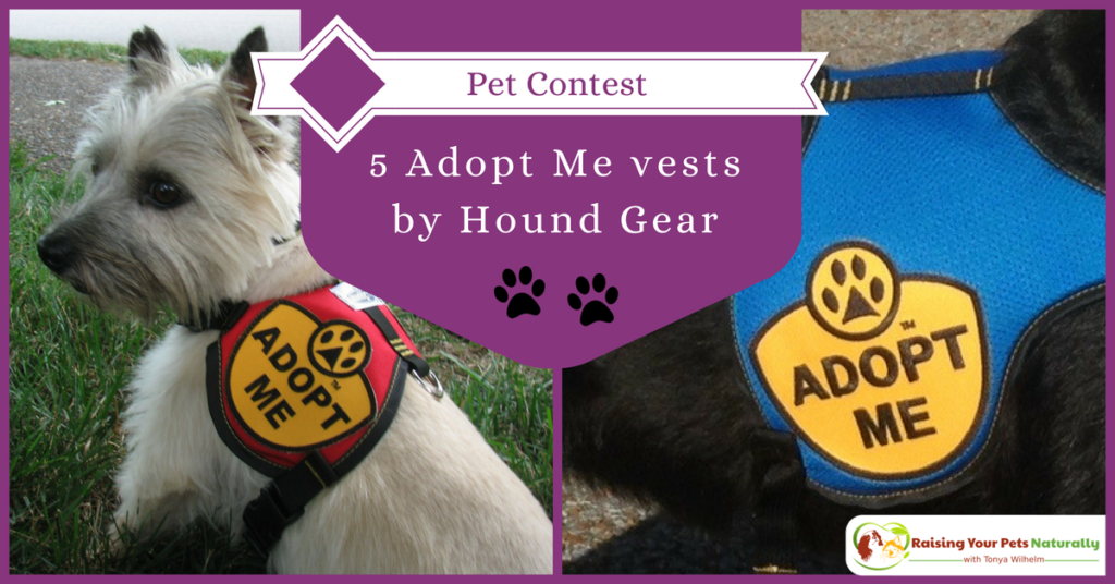 Hound Gear Pet Products Adopt Me vests giveaway. Enter to with this free giveaway and help local dog rescue organizations at the same time. #raisingyourpetsnaturally