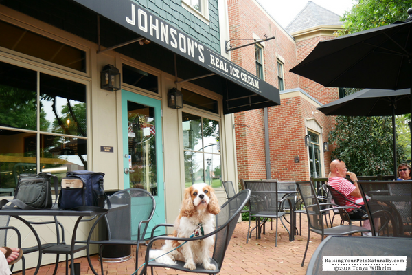 Dog-Friendly Ice Cream Shops in Ohio