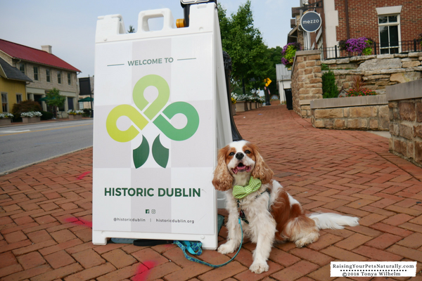 Historic Places To Visit with a Dog