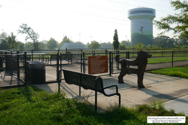 Off-leash dog parks in the Midwest