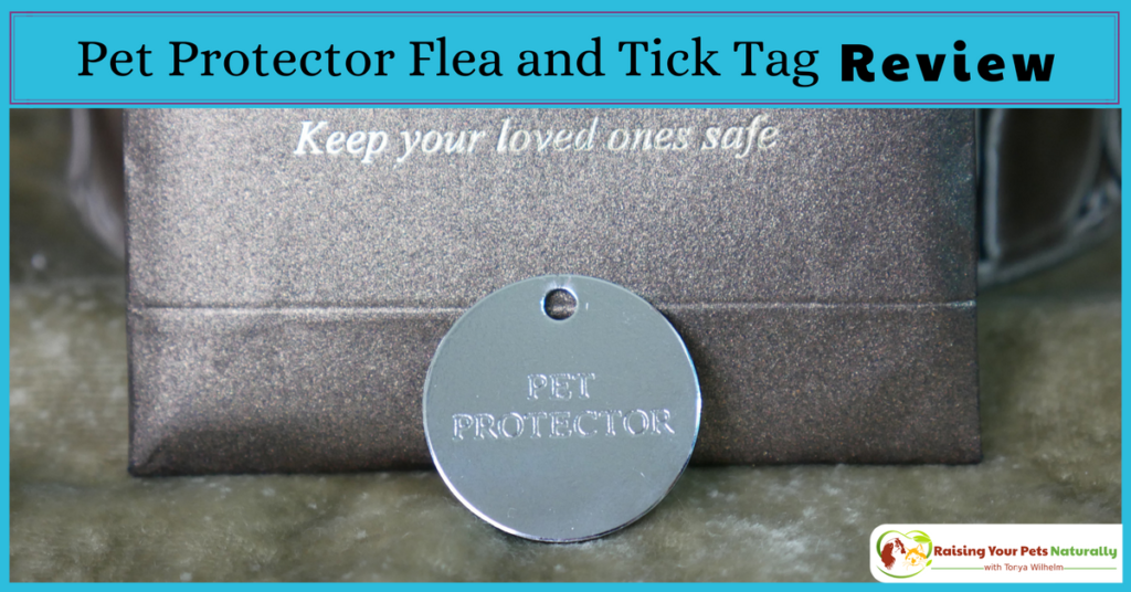 Natural tick and flea repellent. Check out my review of Pet Protector Flea and Tick Tag. #raisingyourpetsnaturally
