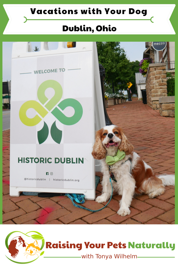 Dog-friendly vacations in the Midwest. Pet-friendly Dublin, Ohio day trip. #raisingyourpetsnaturally #dogfriendlyvacations #travelingwithdogs #dogfriendlydublin #petfriendlyohio #dogfriendlyohio