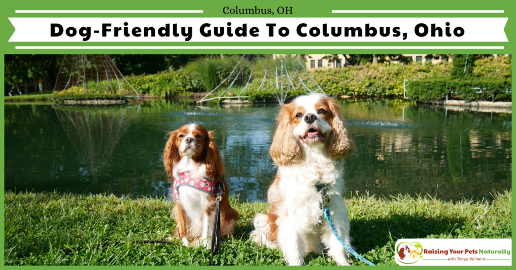 Dog-Friendly Vacations in the Midwest. Columbus, Ohio Dog-Friendly Travel Guide. #raisingyourpetsnaturally