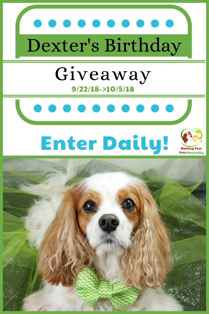 Dexter The Dog's Birthday Blog Giveaway Pet Contest 2017. Help me celebrate Dexter's eighth birthday! This year I will be hosting a giveaway to honor Dexter. #raisingyourpetsnaturally