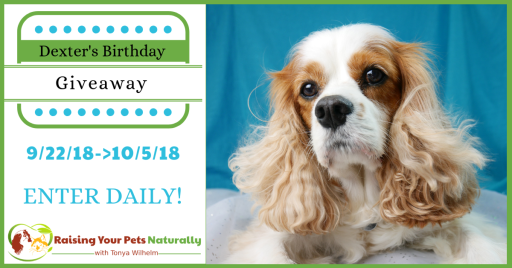 Dexter The Dog's Birthday Blog Giveaway Pet Contest 2017. Help me celebrate Dexter's ninth birthday! This year I will be hosting a giveaway to honor Dexter. #raisingyourpetsnaturally