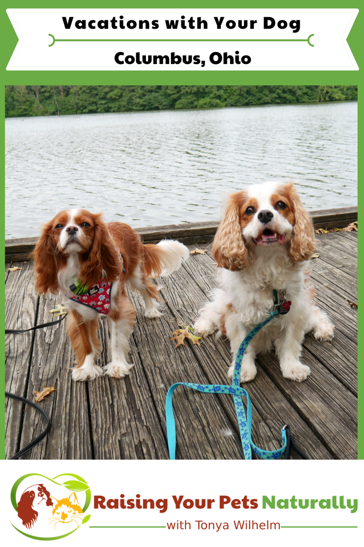 Dog-Friendly Vacations in the Midwest. Columbus, Ohio Dog-Friendly Travel Guide. #raisingyourpetsnaturally #dogfriendly #dogfriendlyvacations #petfriendlyvacations #dogfriendlycolumbus #dogfriendlyohio #dogfriendlymidwest #roadtripwithdogs #ohioroadtrip #columbusroadtrip 