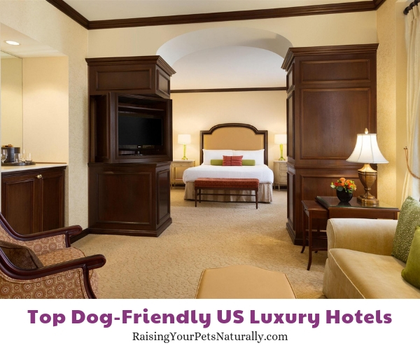 Pet friendly hotels in Delaware