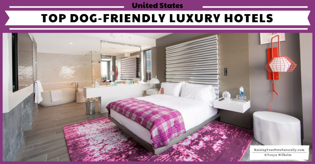 If you are planning a dog-friendly road trip in the US, you might want to check some of these Dog-friendly luxury spa hotels and accommodations. Who says you have to stay in a cheap flea-infested hotel if you have a dog? #raisingyourpetsnaturally