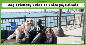 Dog-Friendly Chicago