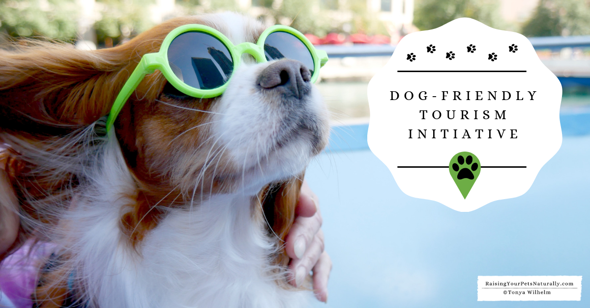Dog-Friendly Tourism Initiative and Dog-Friendly Vacations and Travel. The Dog-Friendly Tourism Initiative isn't just for visitors; it benefits local dog families and business alike. #raisingyourpetsnaturally