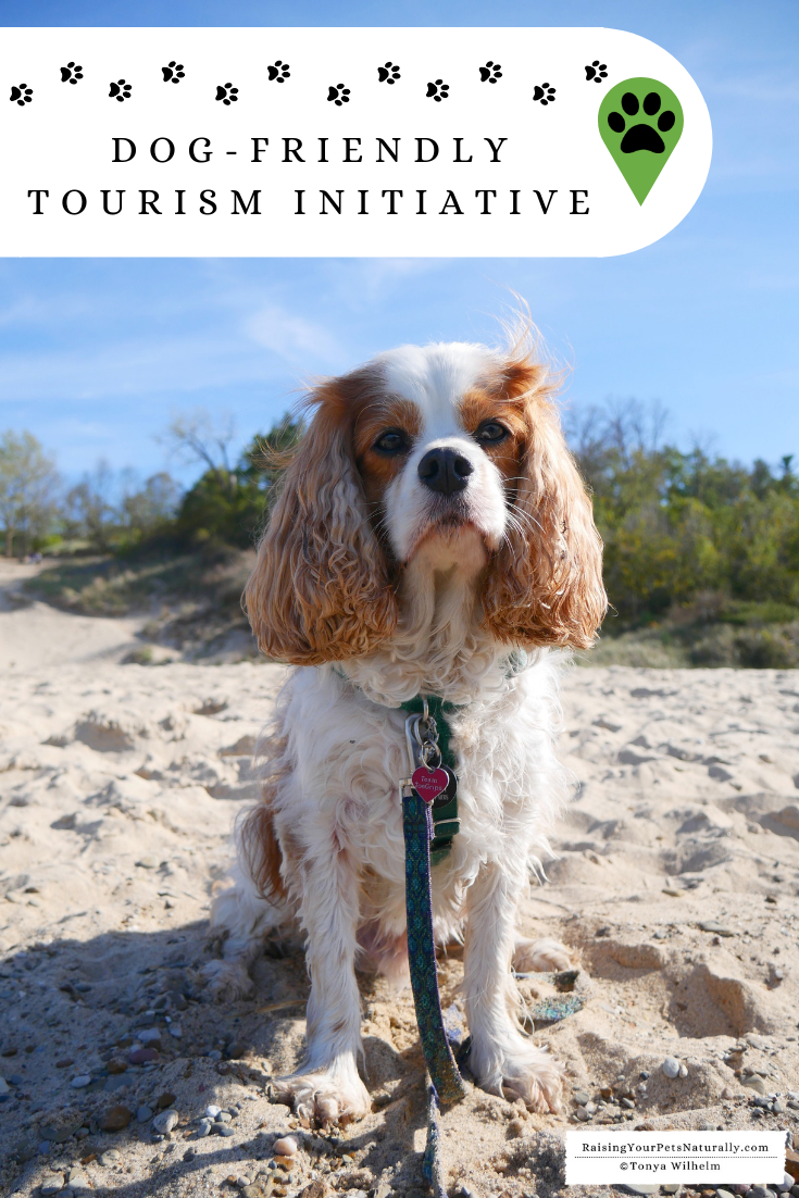 Dog-Friendly Tourism Initiative and Dog-Friendly Vacations and Travel. The Dog-Friendly Tourism Initiative isn't just for visitors; it benefits local dog families and business alike. #raisingyourpetsnaturally #dogfriendly #tourism #tourismideas #petfriendly 