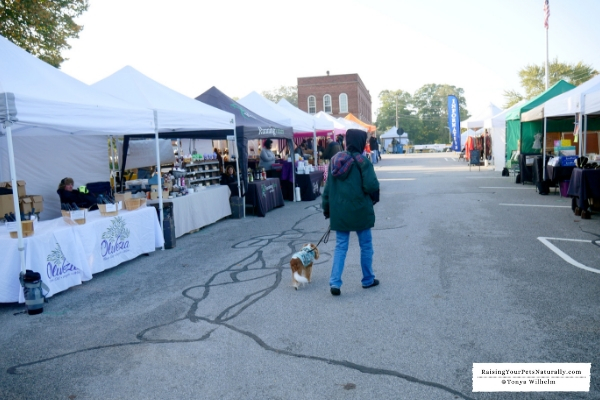 Dog-Friendly Indiana Dunes Beaches and Beyond. Check out Dexter's off the beaten path road trip to the Indiana Dunes region. #raisingyourpetsnaturally #indianadunes #beachesandbeyond #dogfriendly #dogfriendlyindiana #midwestvacations #dogfriendlyvacations #dogfriendlyroadtrips 