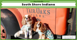 Dog-friendly Norther Indiana things to do along Lake Michigan. Dog-friendly South Shore things to see and do. #raisingyourpetsnaturally