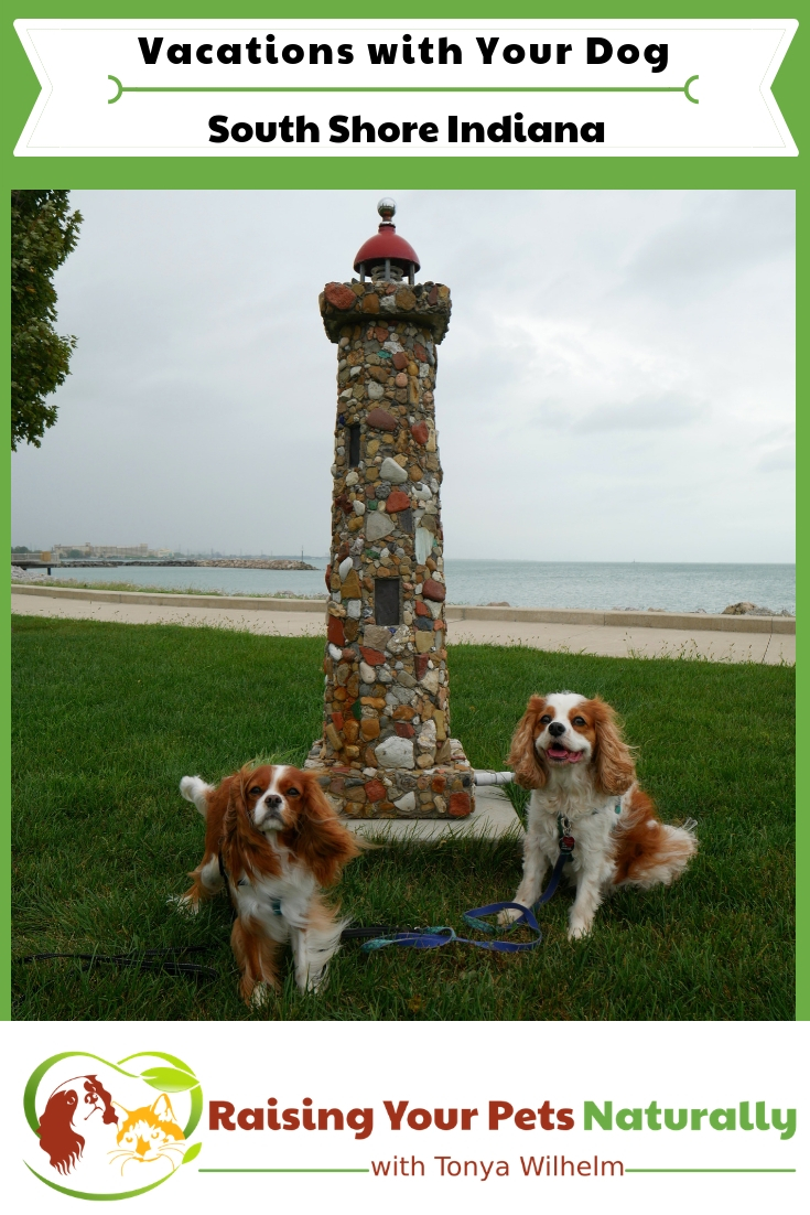 Dog-friendly Northern Indiana things to do along Lake Michigan. Dog-friendly South Shore things to see and do. #raisingyourpetsnaturally #dogfriendlyvacations #dogfriendlyindiana #midwestvacations #dogfriendlymidwest