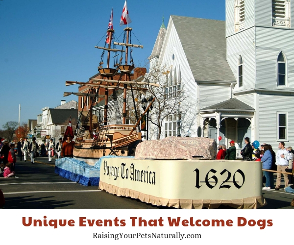 Thanksgiving the America's Hometown Thanksgiving Celebration, Plymouth, Massachusetts dog-friendly