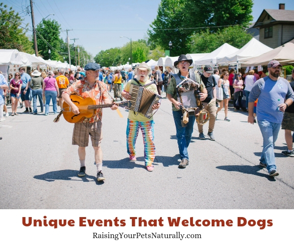 Dog-friendly Springfield, Missouri- 