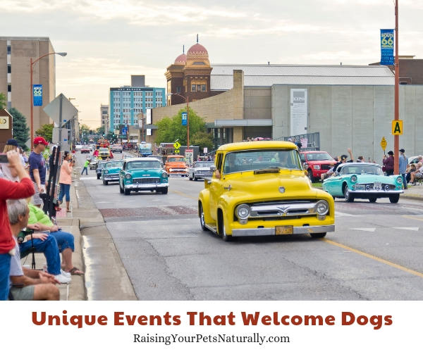 Pet-friendly attractions in Springfield Missouri 