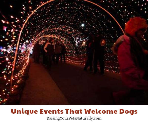 Events in Clarksville, TN that allow dogs