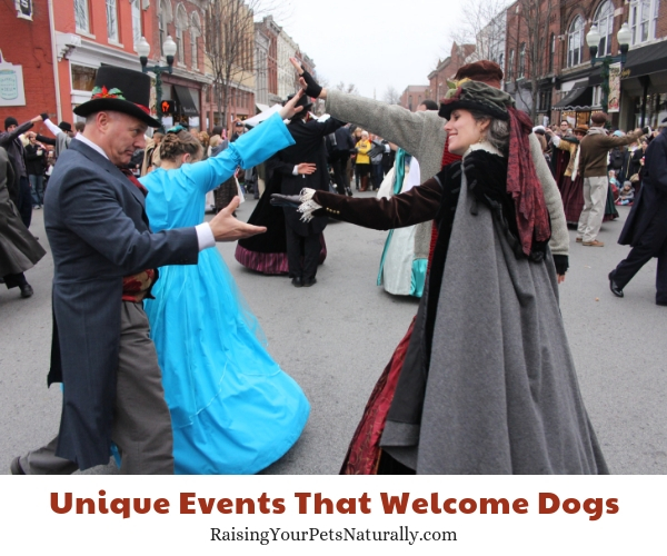 Things to do in Franklin Tennessee with your dog