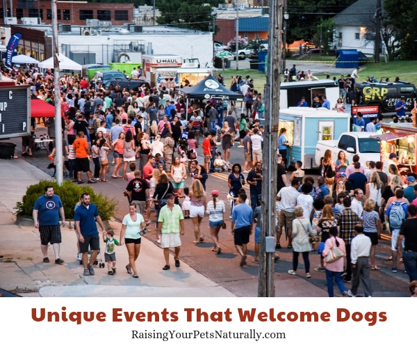 Oklahoma City, Oklahoma festivals that are dog-friendly
