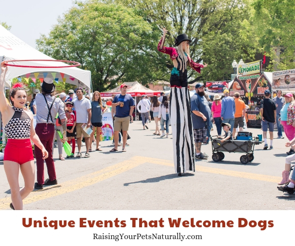 Dog-friendly Franklin, Tennessee 