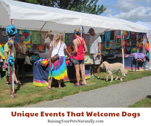 Dog-friendly events in Bethel Maine