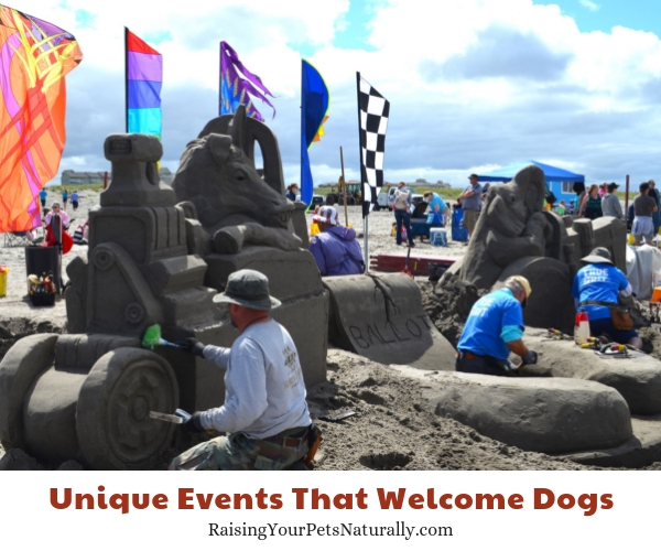 SandSations, Long Beach, Washington dogs allowed