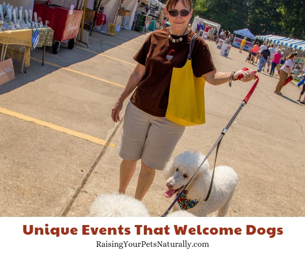 Festivals to take your dog to in Louisiana