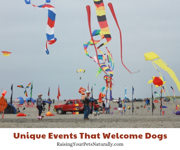 Dog-friendly events in Washington 