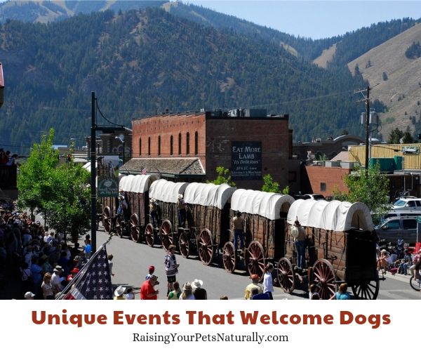 Dog-friendly Ketchum Idaho events 