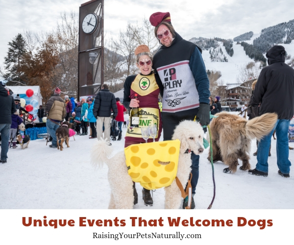 Wintersköl™, Aspen, Colorado- allows dogs