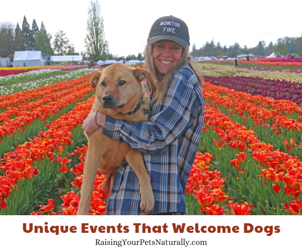 Things to do in Oregon with your dog