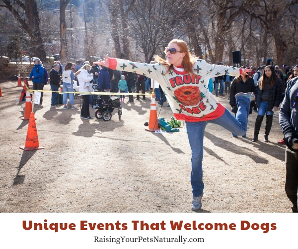 Annual Great Fruitcake Toss, Manitou Springs, Colorado pet policy