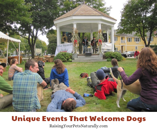 Attractions in Bethel Maine that allow dogs