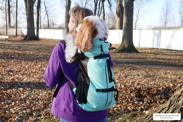 If you're looking for a dog carrier backpack that is designed for safety and comfort, check out the K9 Sport Sack™ AIR PLUS. #raisingyourpetsnaturally