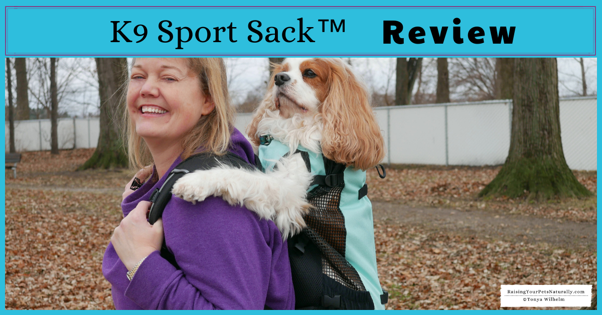 If you're looking for a dog carrier backpack that is designed for safety and comfort, check out the K9 Sport Sack™ AIR PLUS. #raisingyourpetsnaturally 