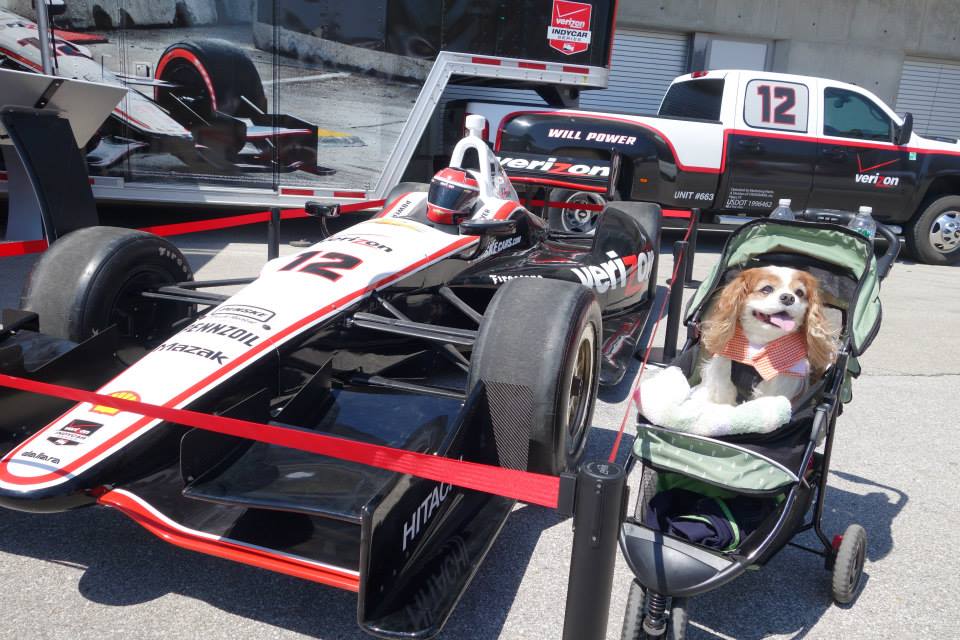 This April, Dexter and I will be walking the historic Indianapolis Motor Speedway track and even have the chance to kiss the bricks, all while supporting IndyHumane. #raisingyourpetsnaturally 