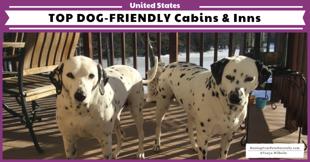 The Best Dog-Friendly Cottages, Lodges, Cabins, and B&B Resorts in the US. #raisingyourpetsnaturally