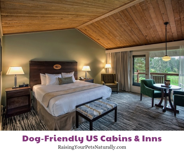 Best dog-friendly resorts in Oregon 