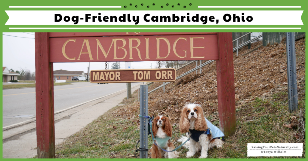 Dog-Friendly Vacations in the Midwest - Cambridge, Ohio. Dog-Friendly Restaurants and Landmarks. #raisingyourpetsnaturally