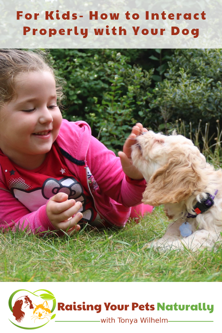 Teaching kids how to interact properly with their dog. #raisingyourpetsnaturally #kidsanddogs #dogsandkids